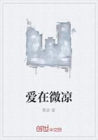 ΢