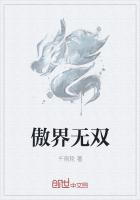 ˫