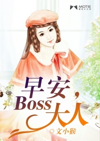 簲BOSS